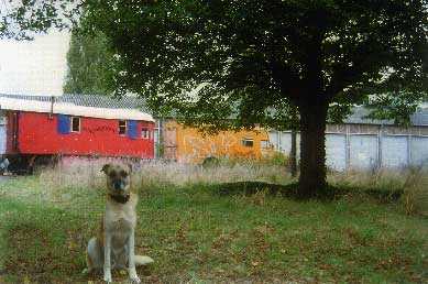 Zugmaschine mit Bauwagenanhänger im Elbsandsteingebirge auf dem Weg von München nach Berlin